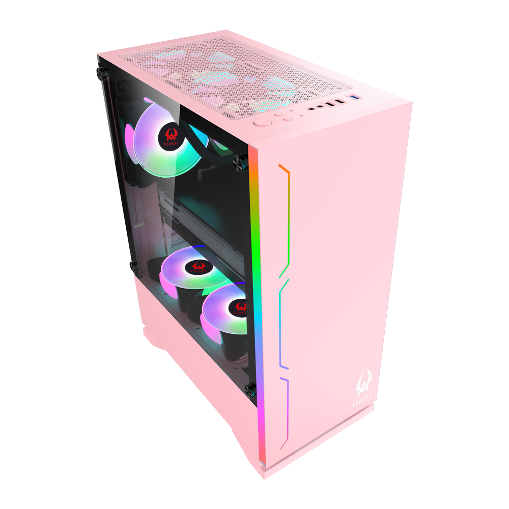 PC Gamer Dreamfyre 5 Pink: Ryzen 5 5600G, SSD M.2, RAM 16GB (3200MHz, D-Channel)